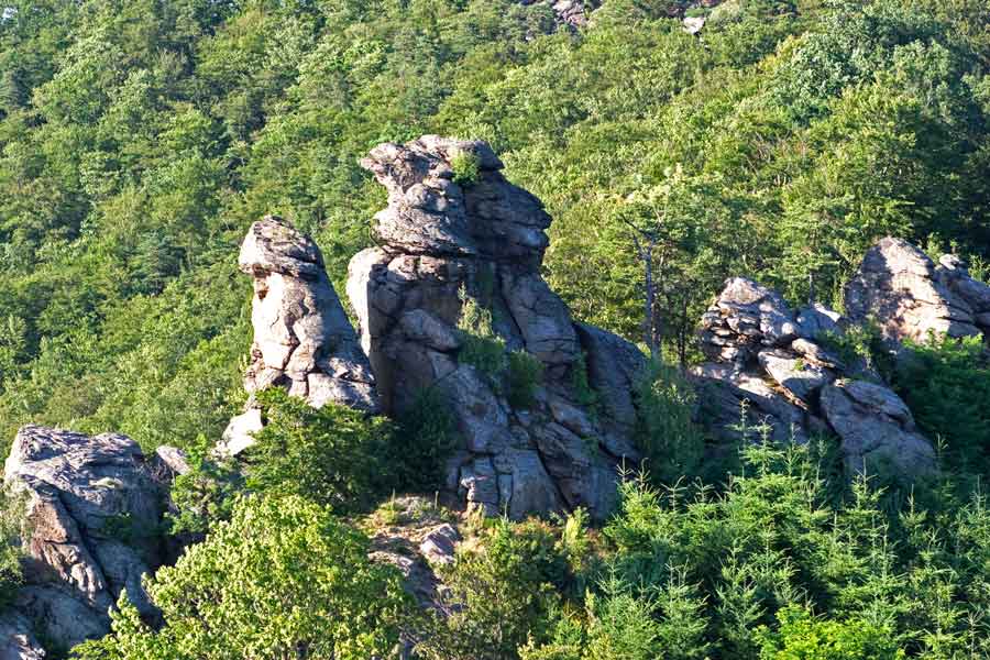 Foto 19/54 (bei Ruine Aggstein)